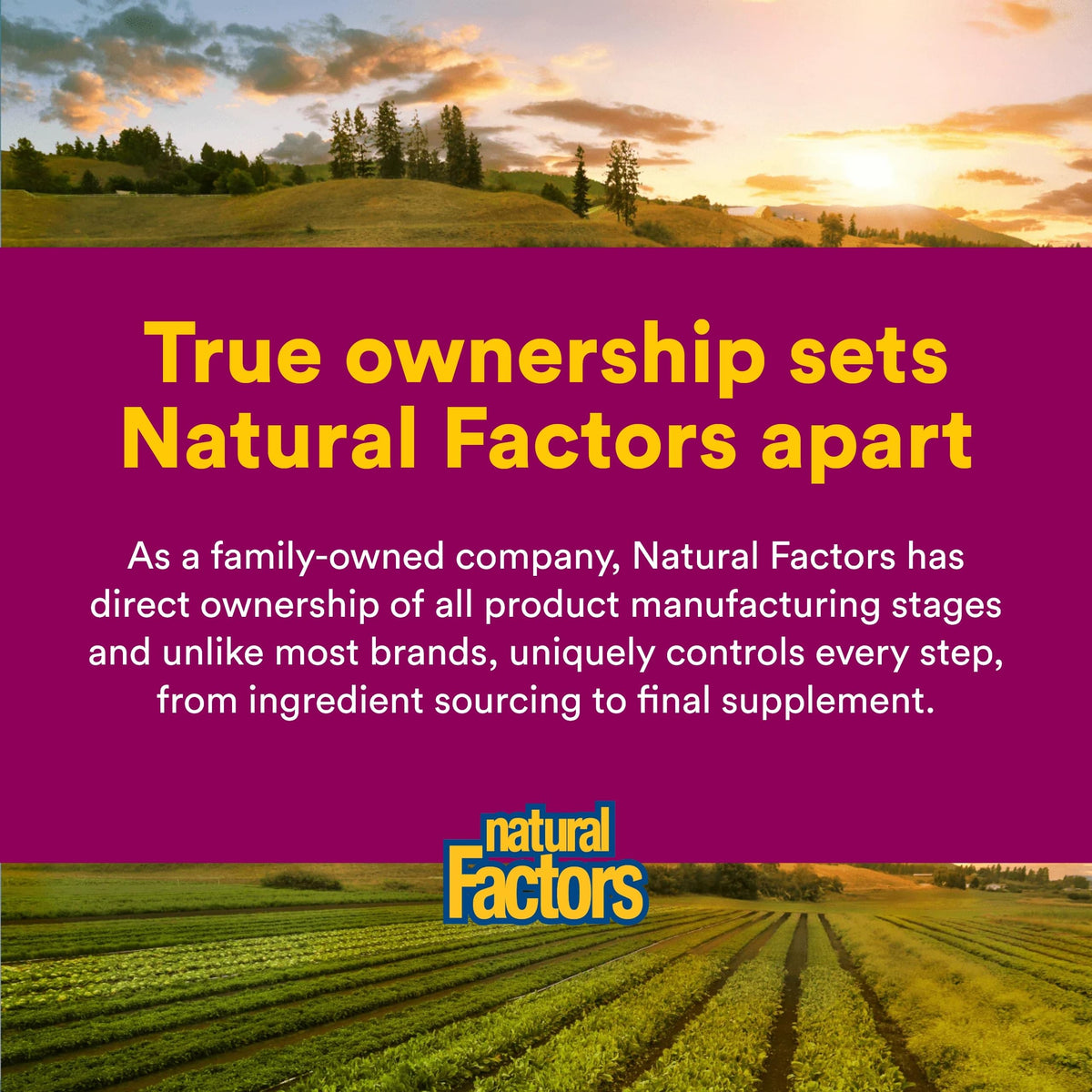 Natural Factors ResveratrolRich bottle with a measuring spoon