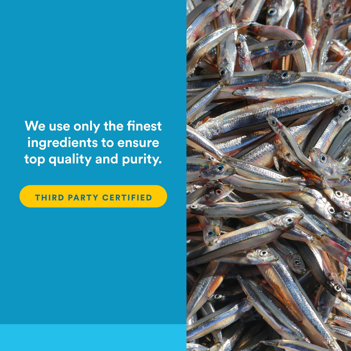 Natural Factors RxOmega-3 ingrédients et informations nutritionnelles