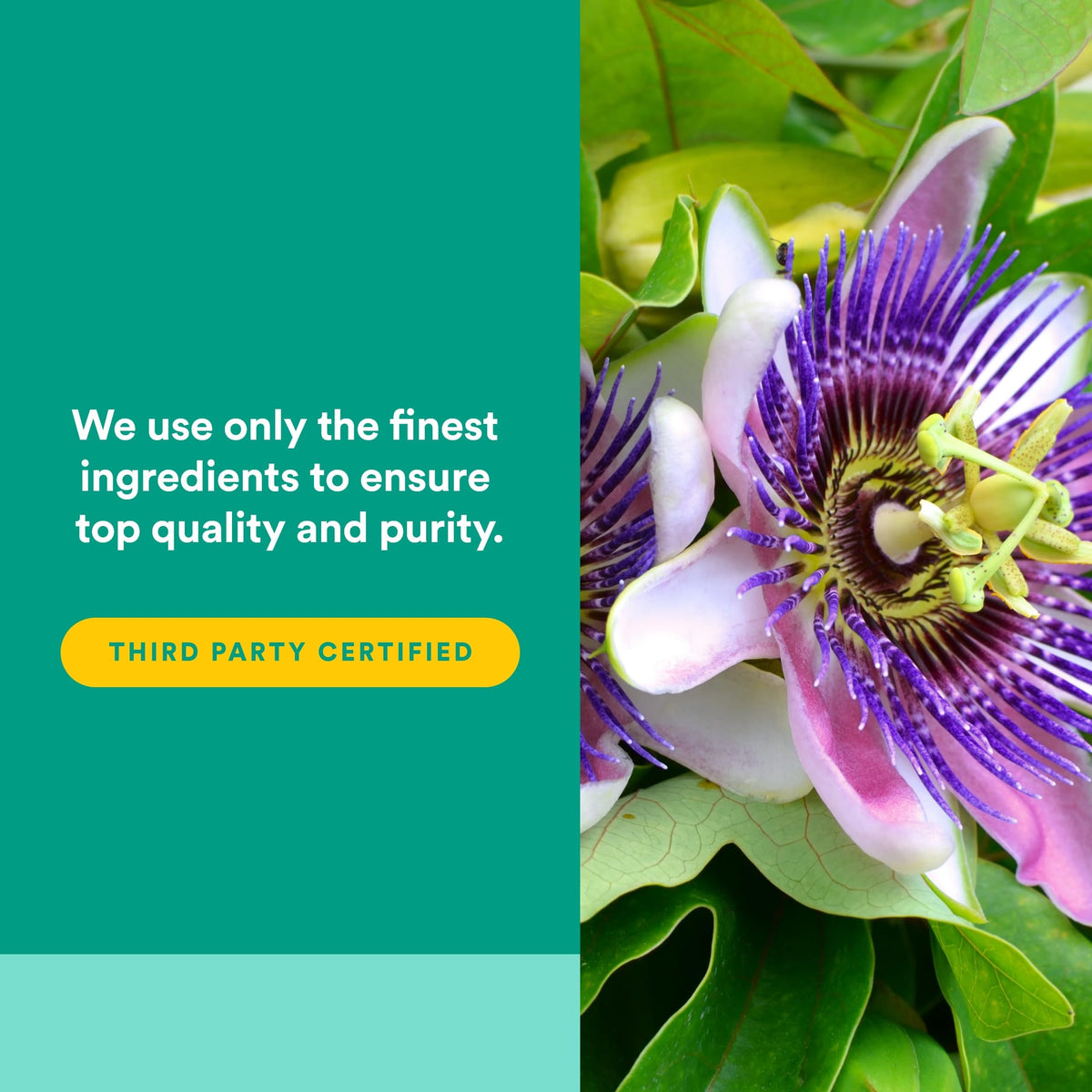 Natural Factors The Best-Sleep 90 capsules végétales côté