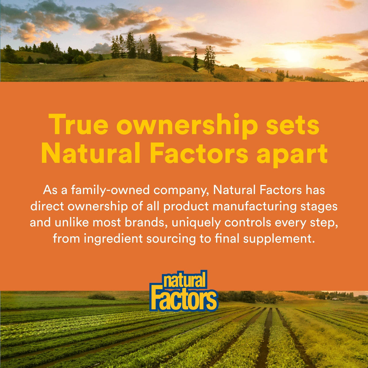 Natural Factors Theracurmin montrant l'étiquette et le contenu