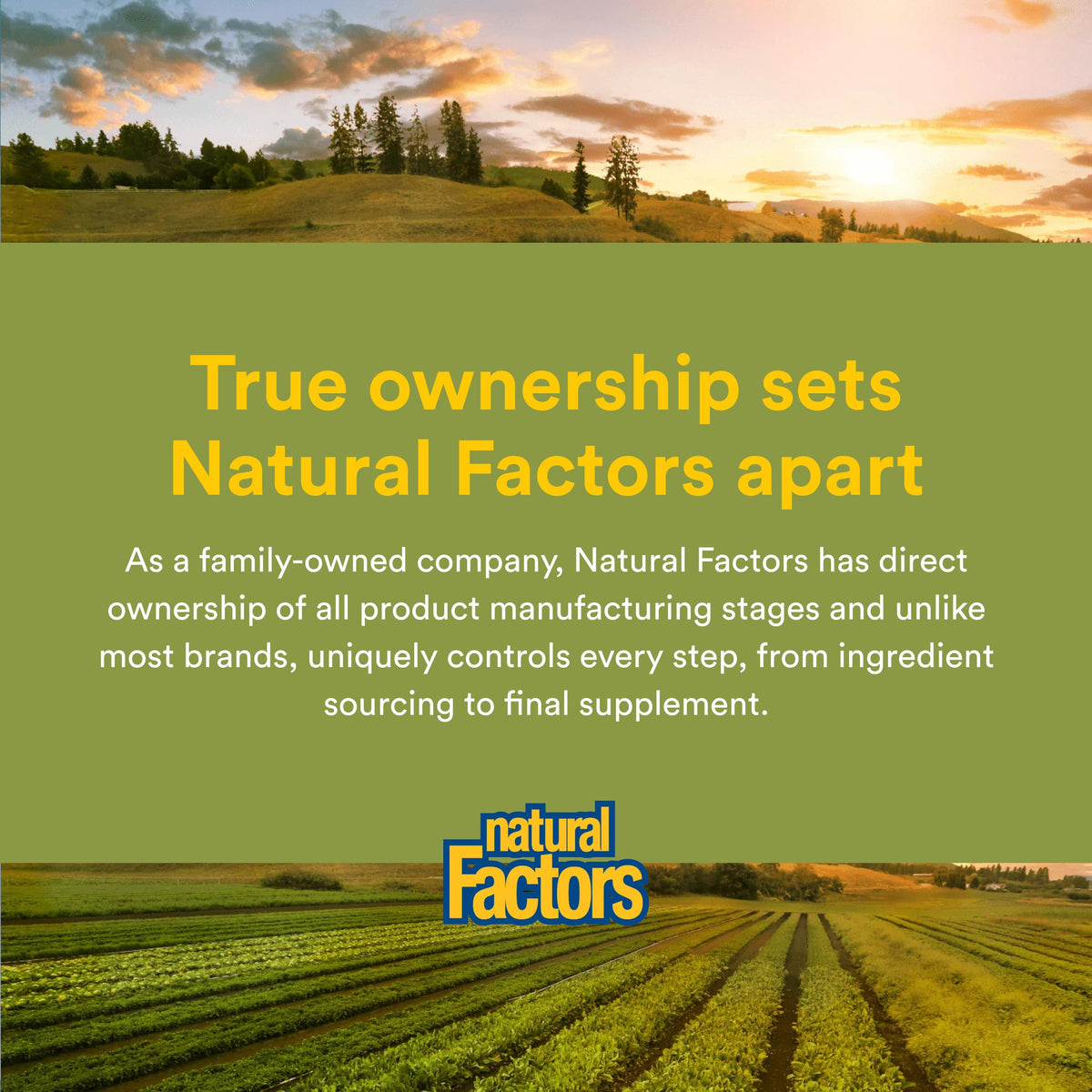Natural Factors Ultra-Lax 90 comprimés sur une table en bois