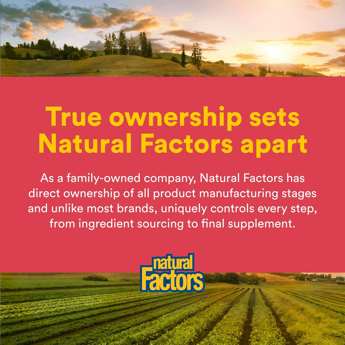 Natural Factors Vitamine C 1 000 mg comprimés sur fond blanc