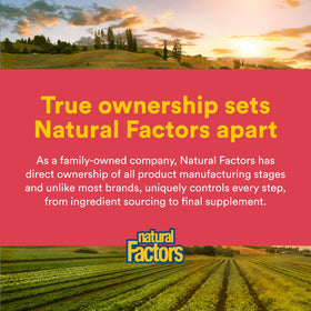 Natural Factors Vitamine C 1 000 mg comprimés sur fond blanc