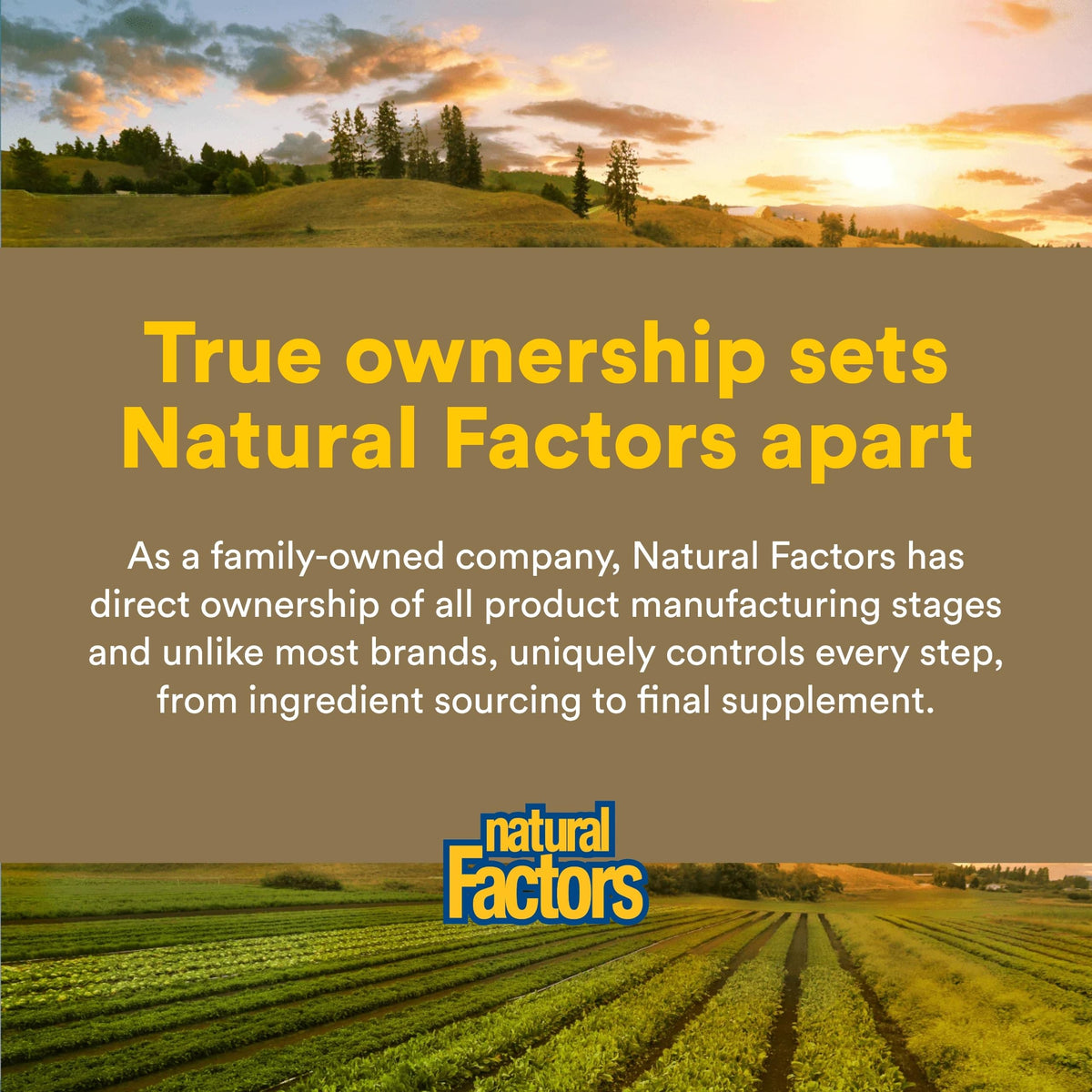 Natural Factors Zymactive Double Strength comprimés à côté d'autres compléments alimentaires