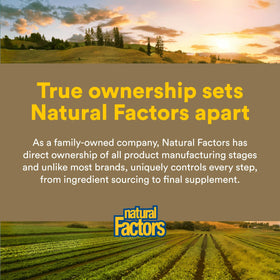 Natural Factors Zymactive Double Strength comprimés à côté d'autres compléments alimentaires