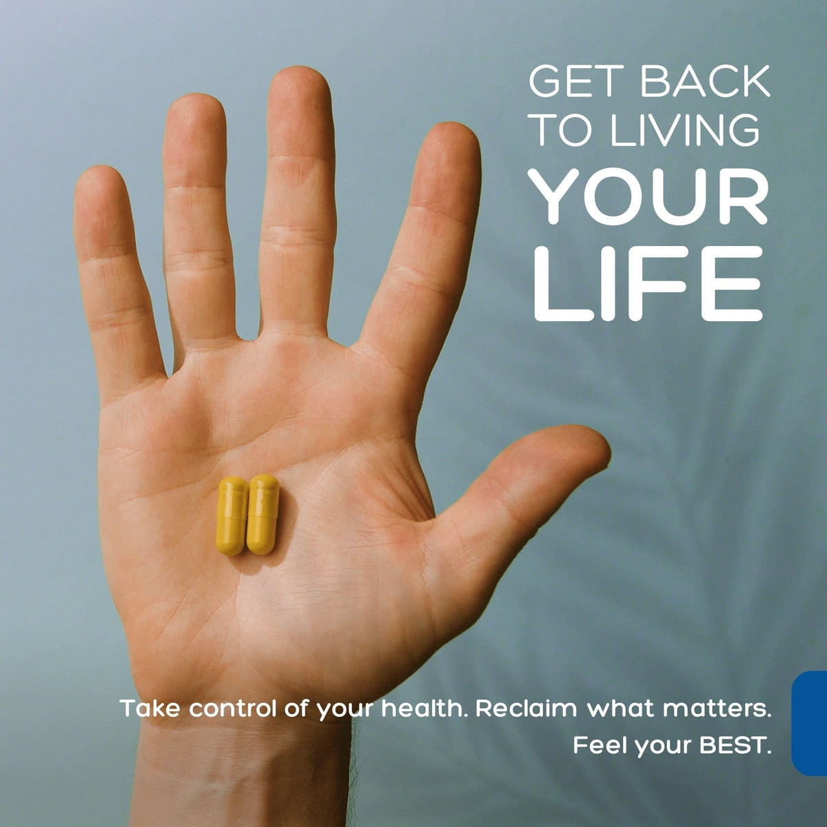 Natural Labs Biofilm Complex capsules avec des herbes en arrière-plan