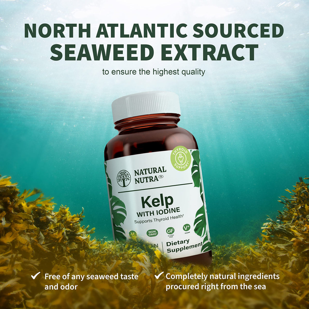 Natural Nutra Iode Kelp 225 mcg 100 Tablettes - emballage