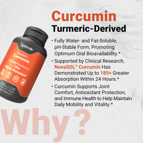 Naturalis Curcumin 500mg gélules avec boîte