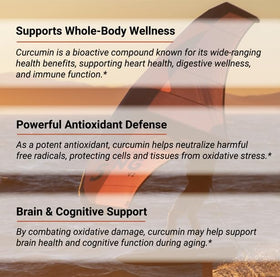 Naturalis Curcumin 500mg gélules dans une main