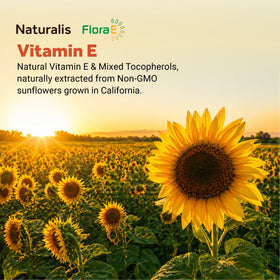 Naturalis Vitamine E 670mg gélules molles sur fond blanc