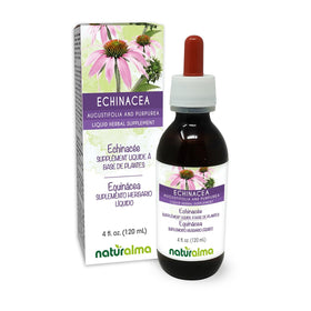 Naturalma Echinacea teinture 4 fl oz bouteille avant