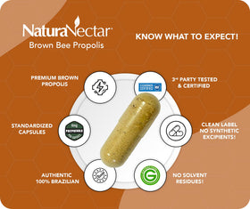 NaturaNectar Propolis Brun Brésilien capsules avec des abeilles