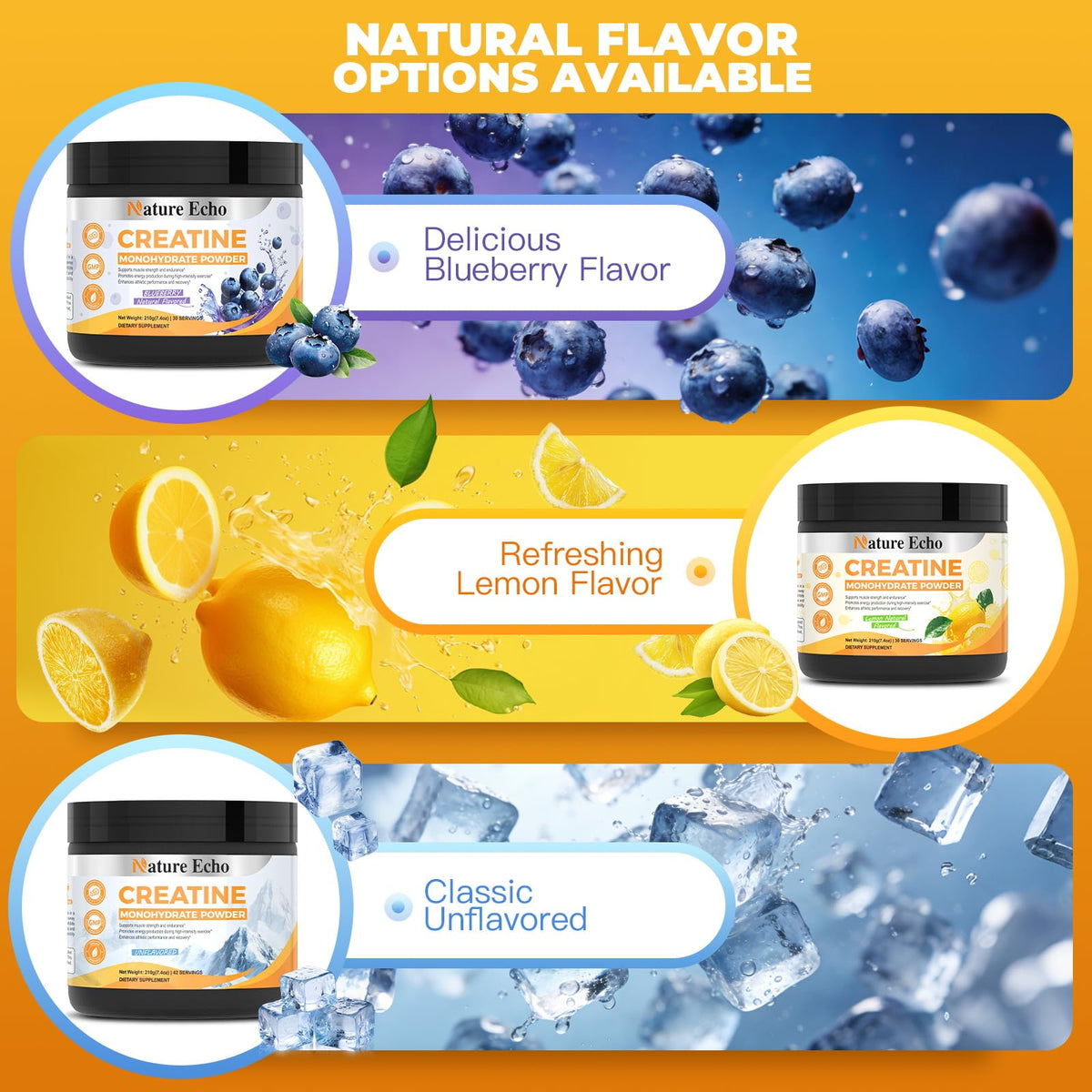Nature Echo créatine monohydrate poudre citron avec fruits frais