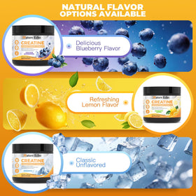 Nature Echo créatine monohydrate poudre citron avec fruits frais
