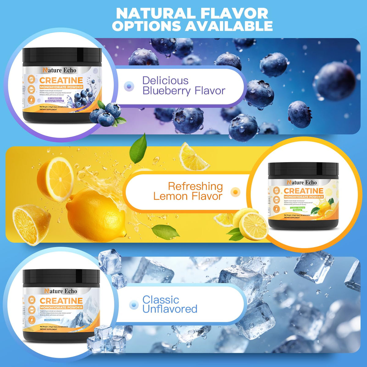 Nature Echo Poudre de Créatine Monohydrate Non Aromatisée 281g étiquette détaillée