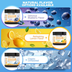Nature Echo Poudre de Créatine Monohydrate Non Aromatisée 281g étiquette détaillée