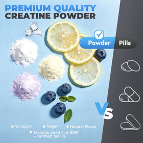 Nature Echo Poudre de Créatine Monohydrate Non Aromatisée 281g vue de dos