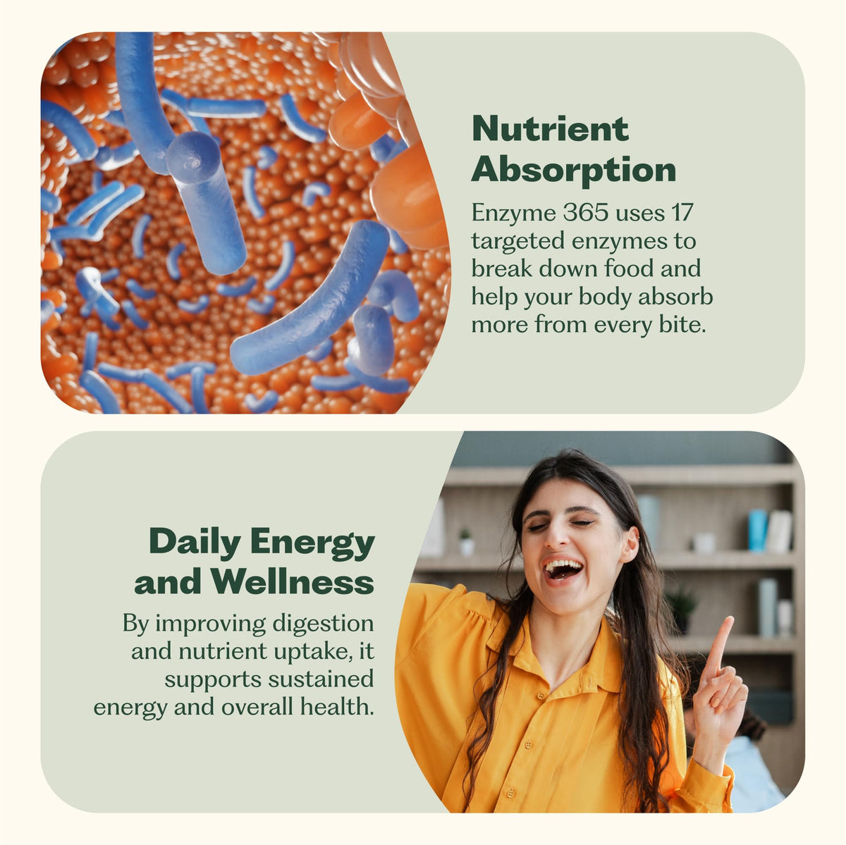 Nature M.D. Complément Alimentaire Enzymes daily, présentation des capsules