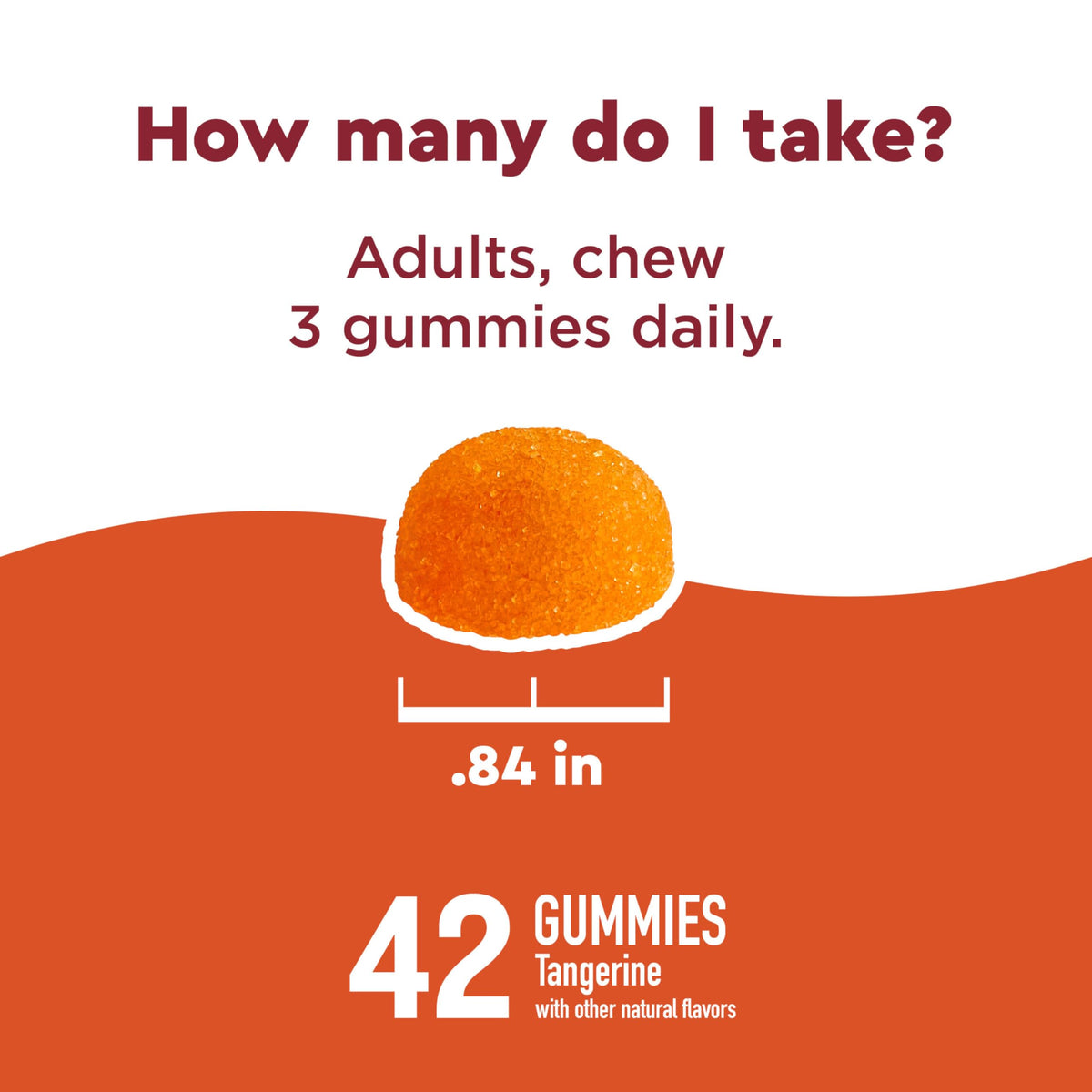 Nature Made Wellblends daily wellness Gummies with tangerine slices