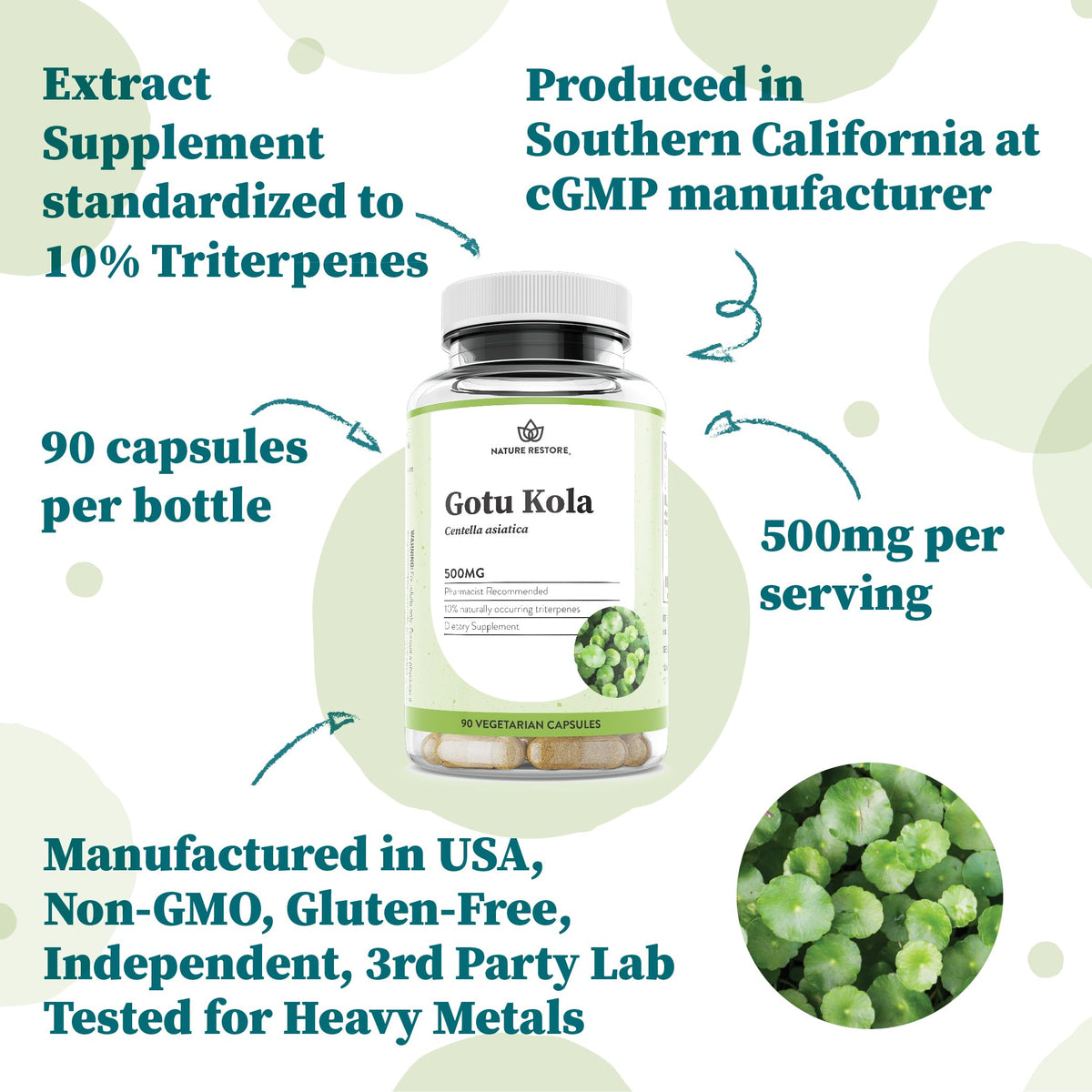 Nature Restore Gotu Kola 500mg capsules ouvertes montrant le contenu