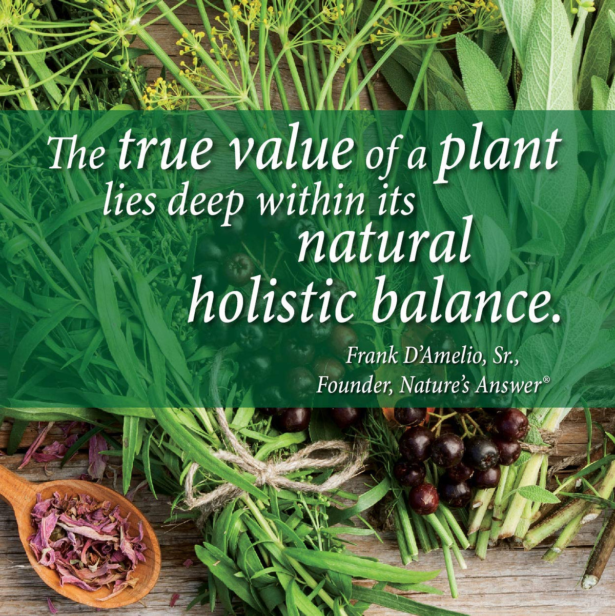Nature's Answer Calcium Magnésium Marin 500mg, dosette ouverte