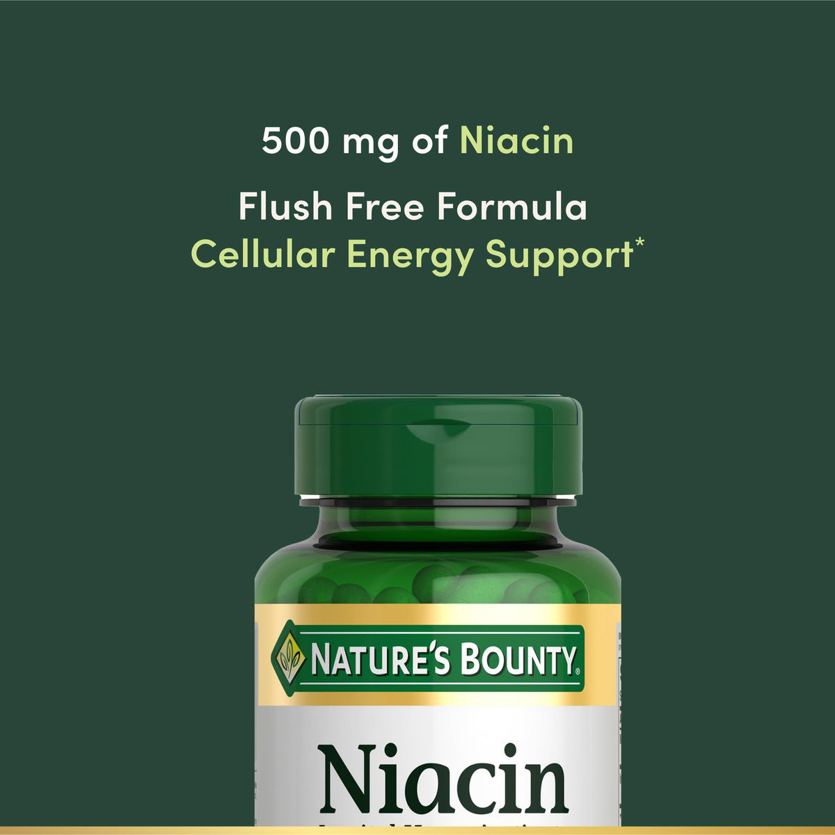 Nature's Bounty Niacine 500mg capsules, détail des ingrédients