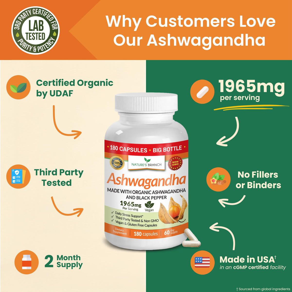 NATURE'S BRANCH Ashwagandha Bio 1965mg gélules végétales avec des ingrédients naturels en arrière-plan