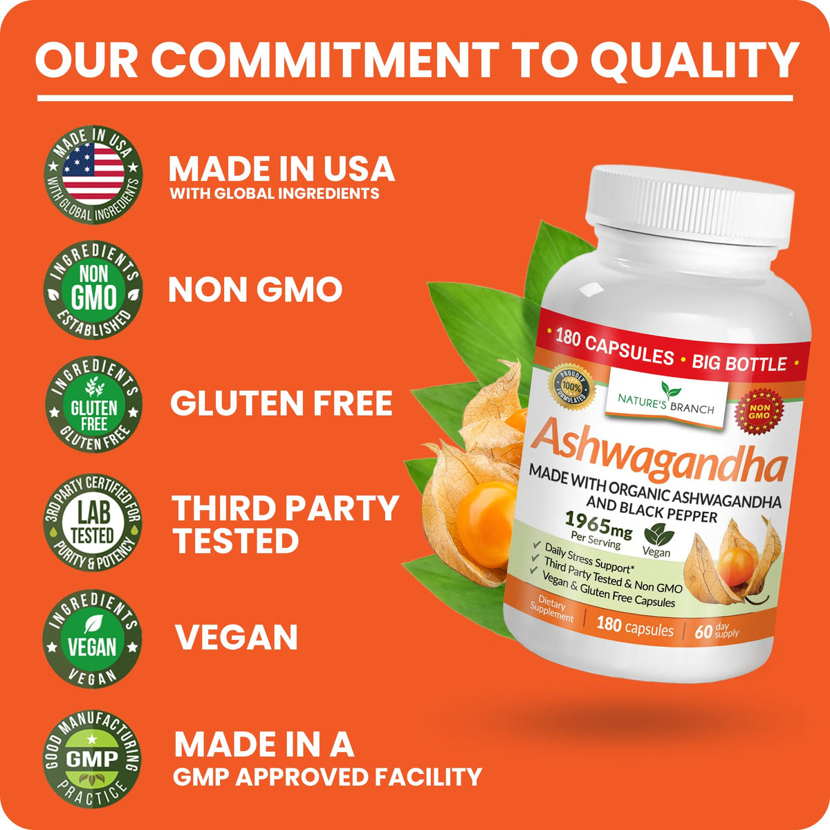 NATURE'S BRANCH Ashwagandha Bio 1965mg gélules végétales dans une main