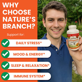 NATURE'S BRANCH Ashwagandha Bio 1965mg gélules végétales sur une table en bois