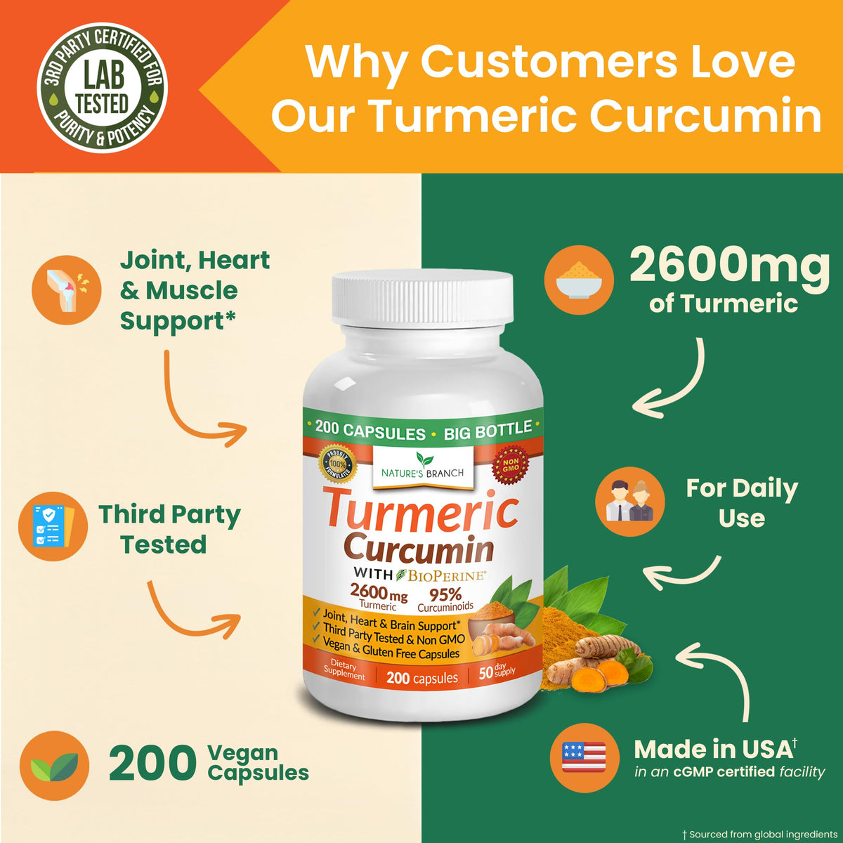 NATURE'S BRANCH Complément Curcuma 2600mg, capsules à l'intérieur