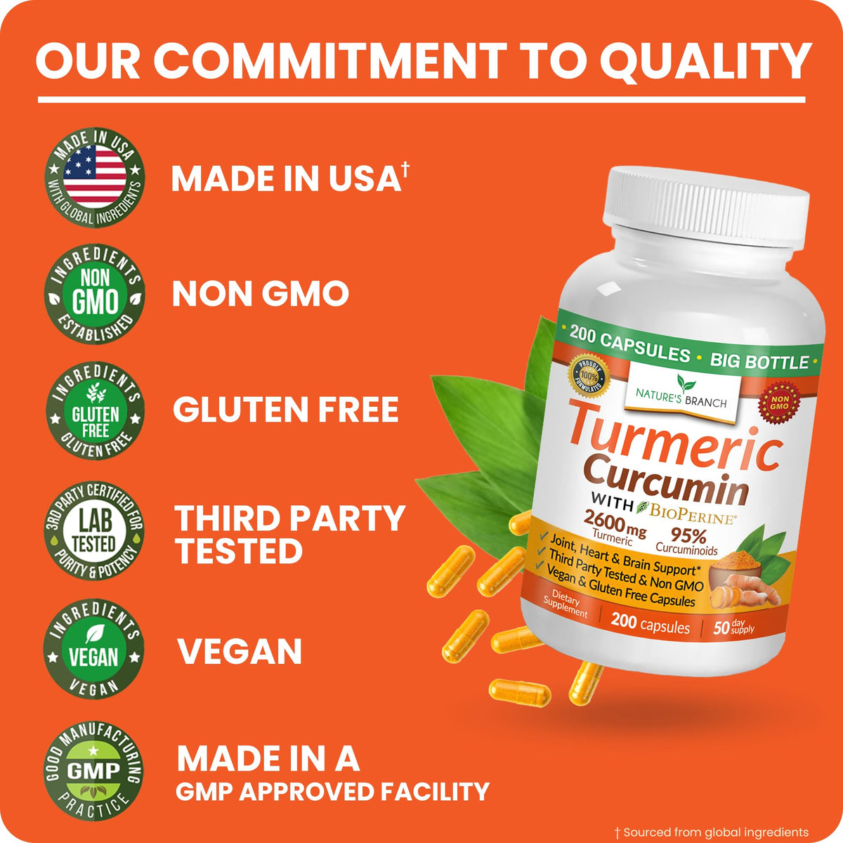 NATURE'S BRANCH Complément Curcuma 2600mg, présentation sur un fond neutre