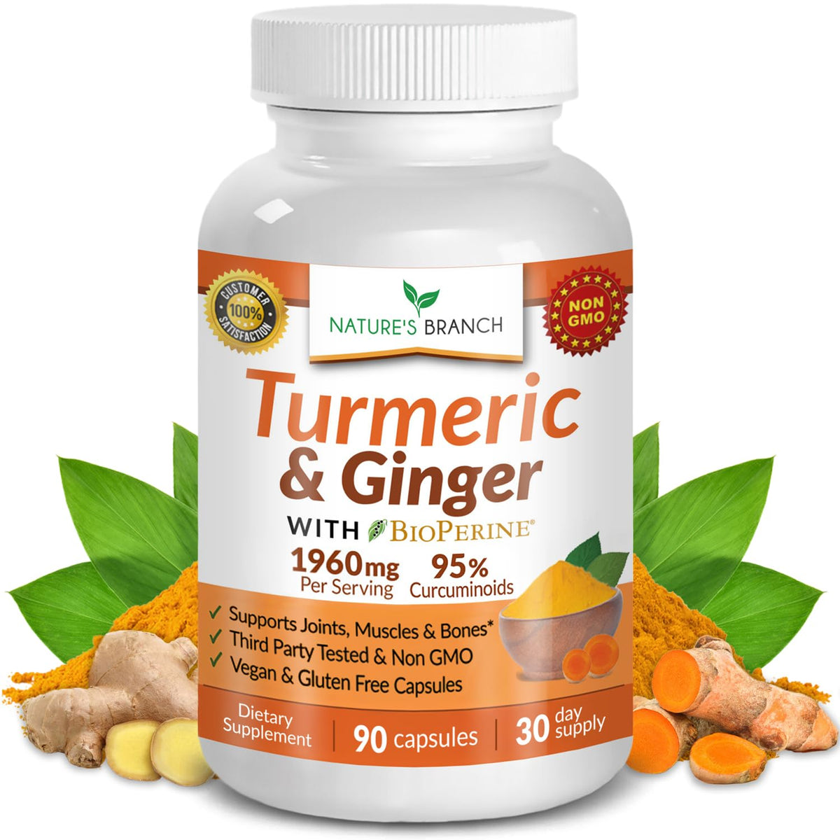 NATURE'S BRANCH Complément Curcuma et Gingembre 100g, vue avant