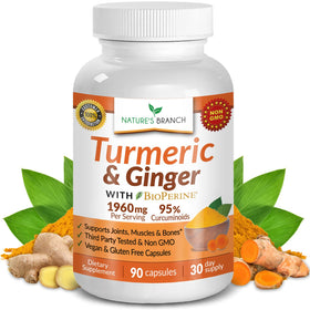 NATURE'S BRANCH Complément Curcuma et Gingembre 100g, vue avant