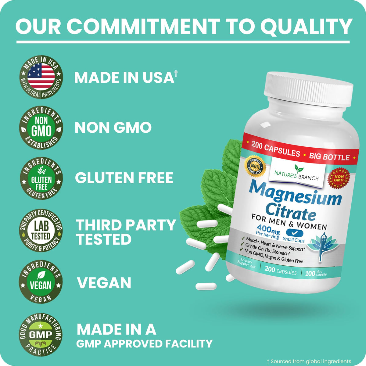 NATURE'S BRANCH Magnésium Citrate 400mg capsules sur une table