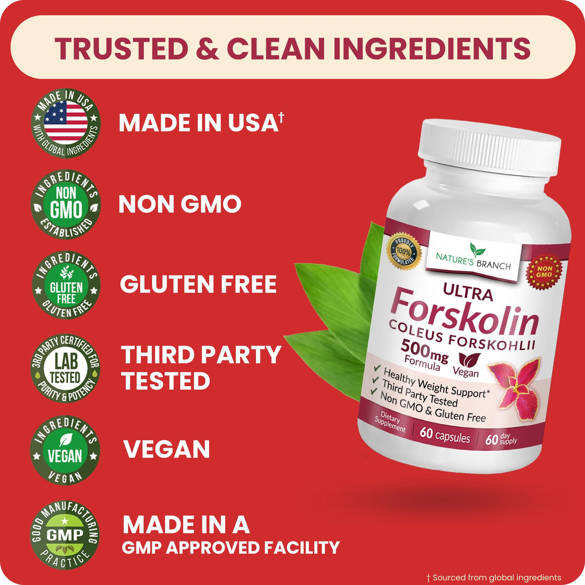 NATURE'S BRANCH Ultra Forskolin 500mg bottle with a glass of water