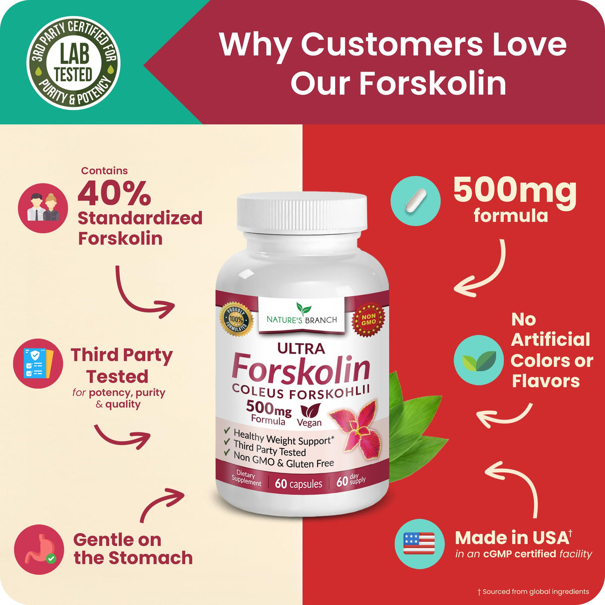 NATURE'S BRANCH Ultra Forskolin 500mg ingredients list