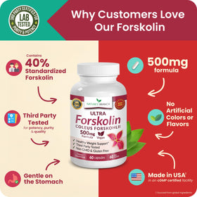 NATURE'S BRANCH Ultra Forskolin 500mg ingredients list