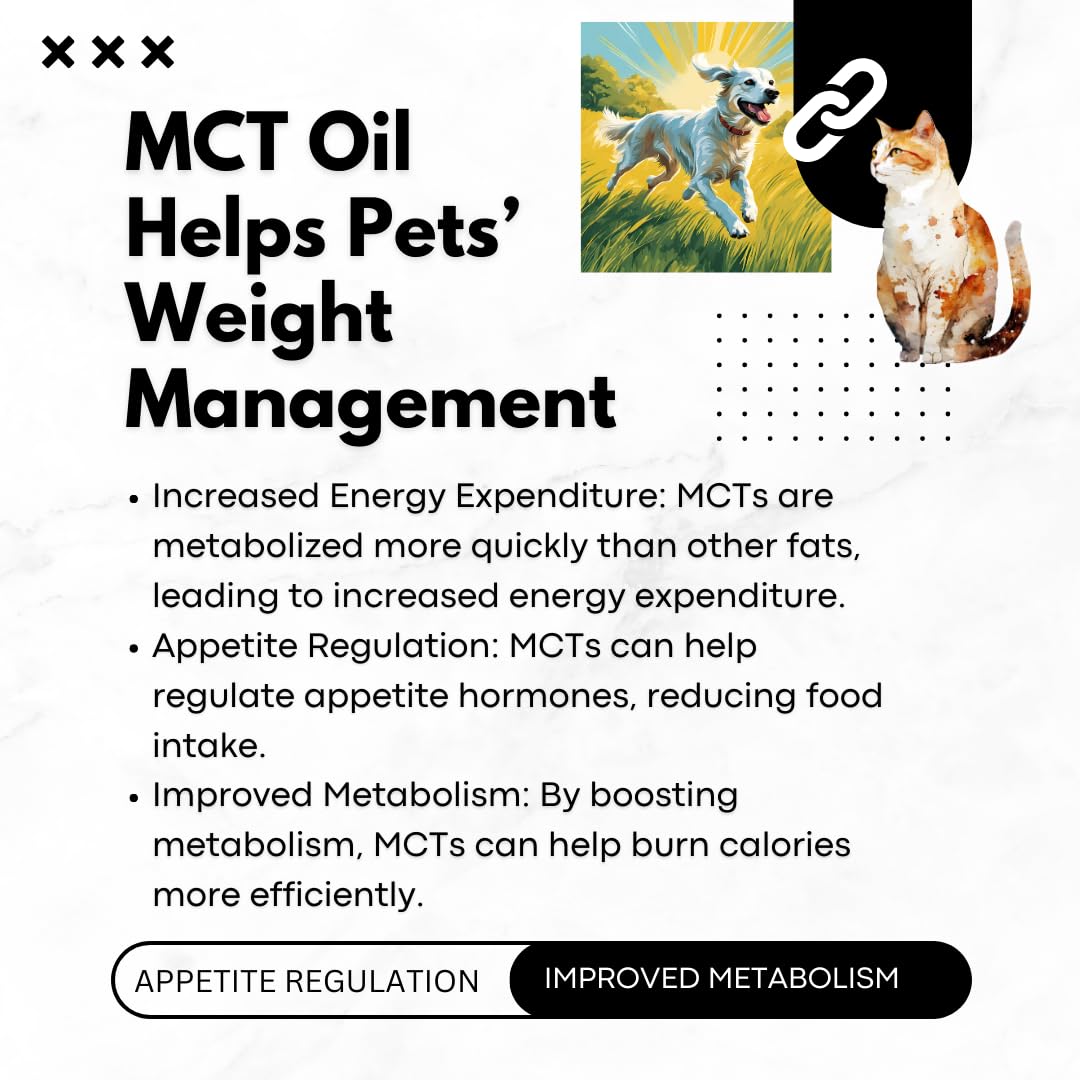Nature's Diet huile MCT en utilisation avec des croquettes