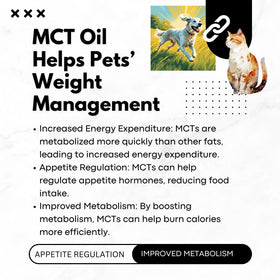 Nature's Diet huile MCT en utilisation avec des croquettes