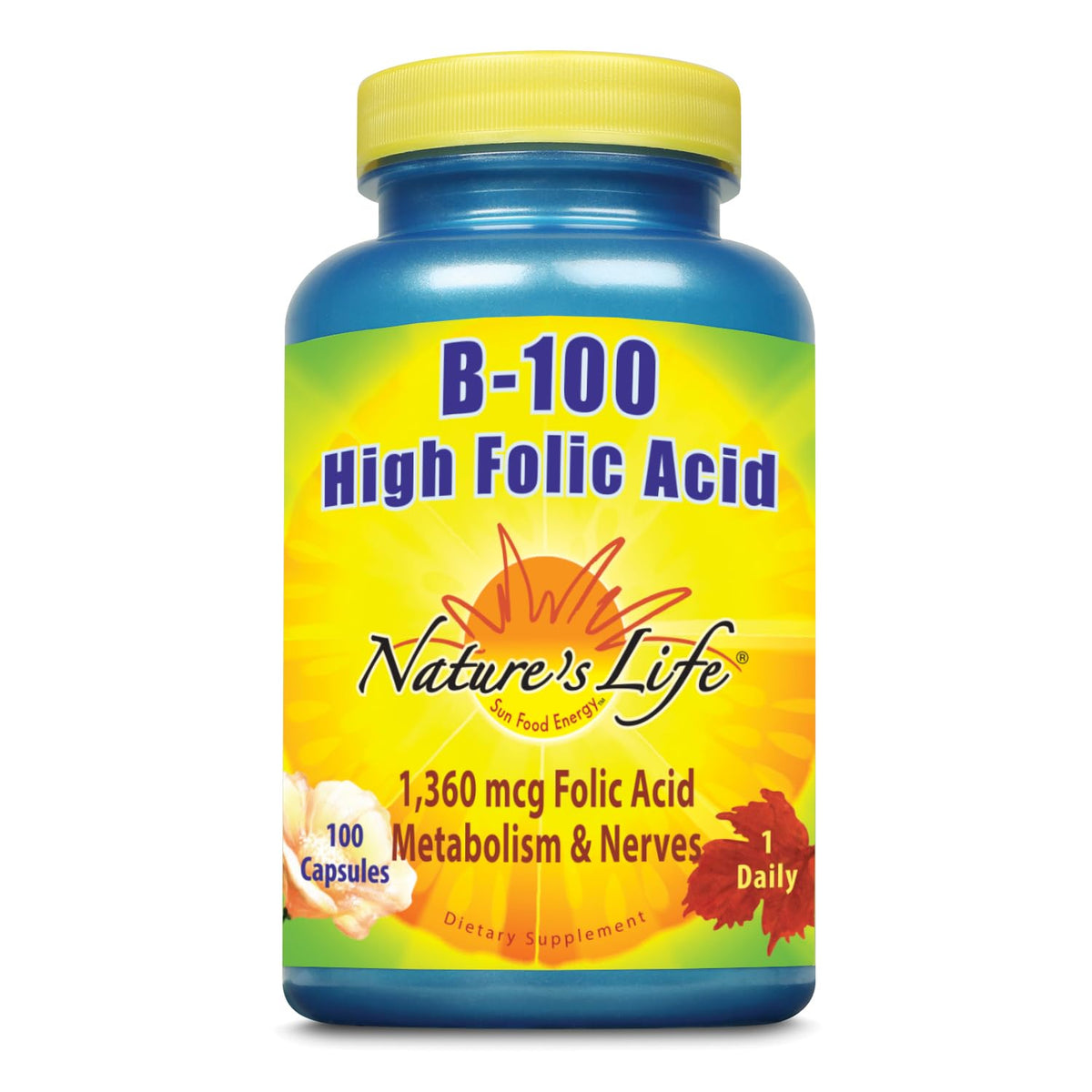 Nature's Life B-100 Acide Folique 100 comprimés, vue avant de l'emballage