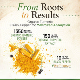 Nature's Nutrition boîte de Curcuma 1500mg avec étiquette