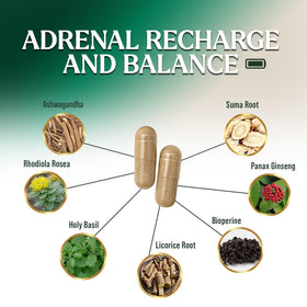Nature's Nutrition Complément Alimentaire Soutien Surrénalien 120 Capsules étiquette