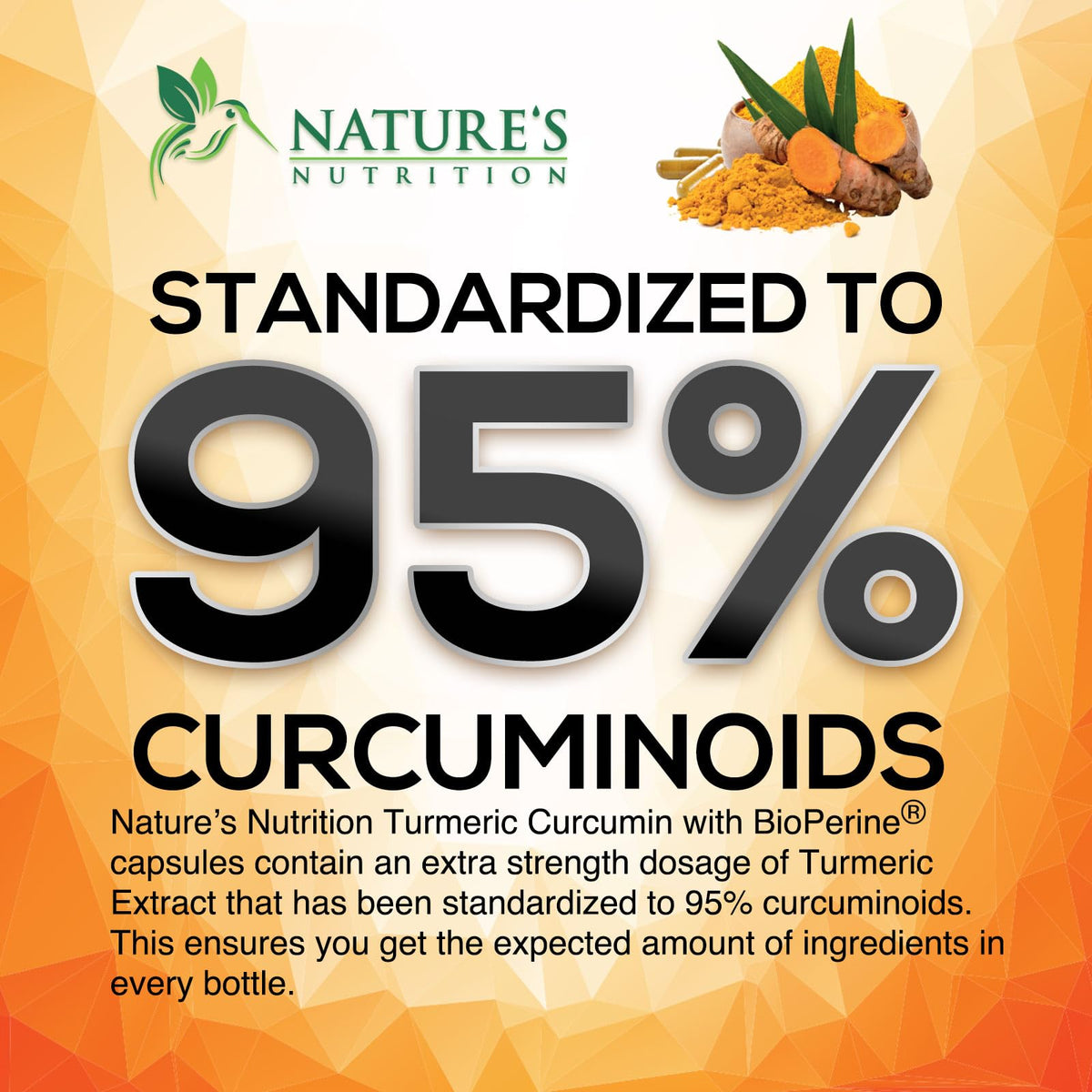 Nature's Nutrition Complément Curcuma Curcumine 2400mg gélules back view