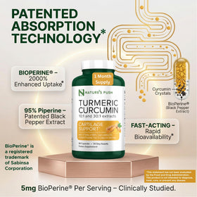 Nature's Push Curcuma 375mg, capsules prêtes à être consommées