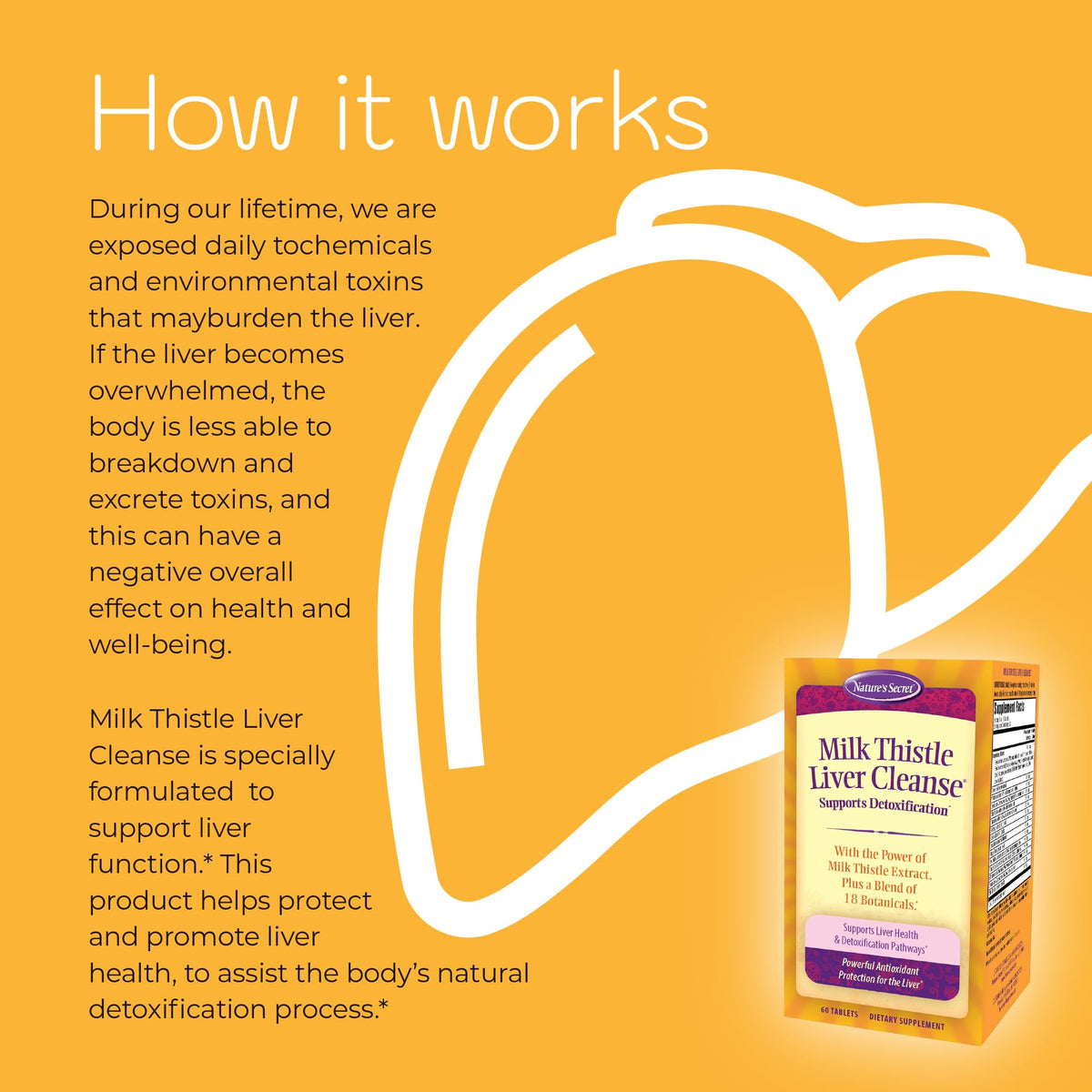 Nature's Secret Nettoyage du Foie Chardon-Marie 109g capsules