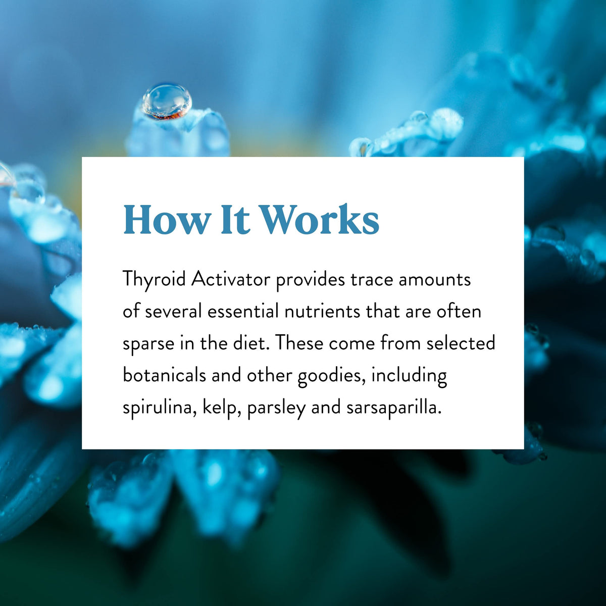 Nature's Sunshine Activateur Thyroïdien 100 Capsules avec des ingrédients naturels