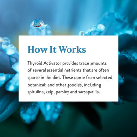 Nature's Sunshine Activateur Thyroïdien 100 Capsules avec des ingrédients naturels