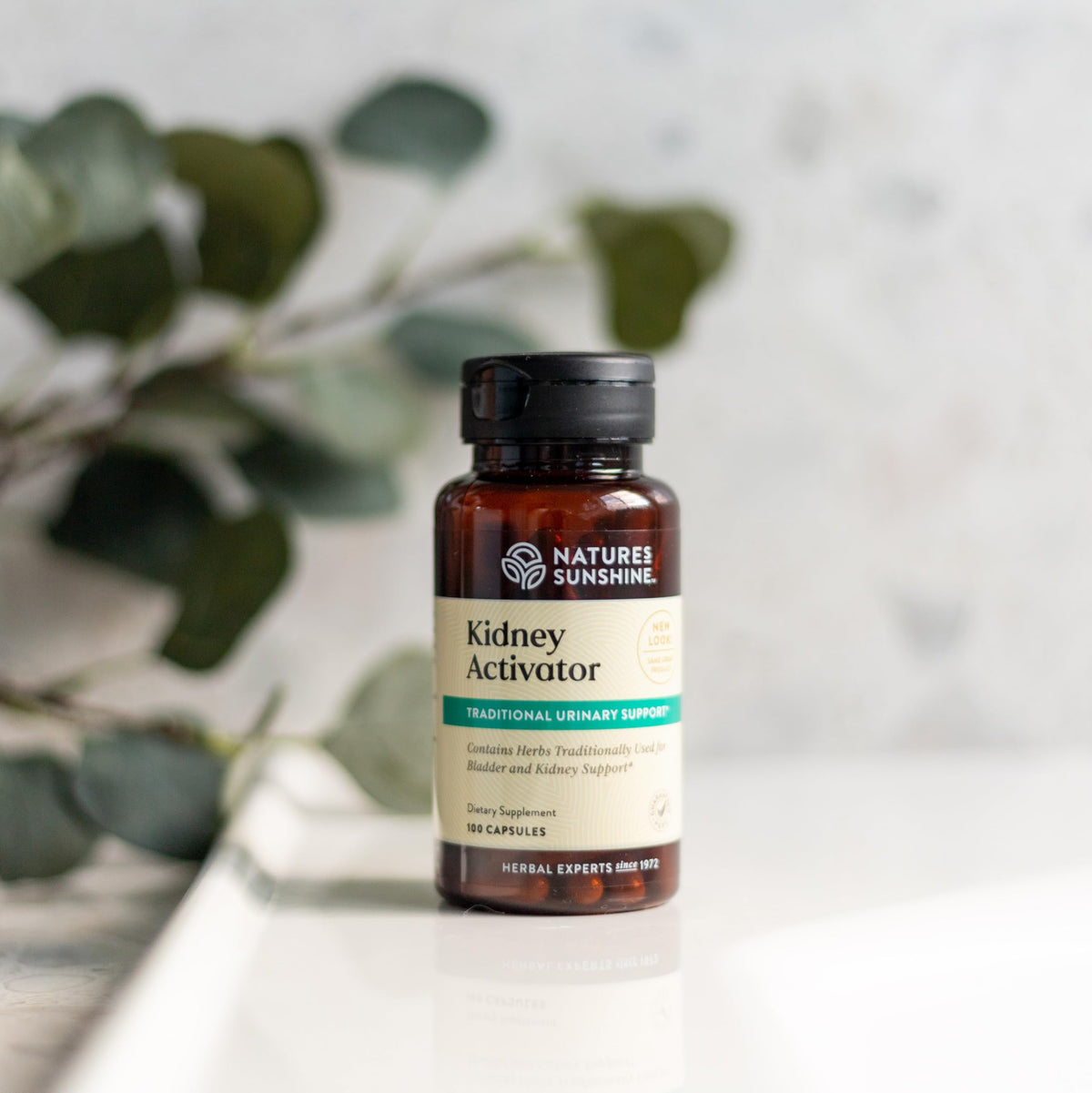 Nature's Sunshine Complément Alimentaire Rein 100 Capsules arrière