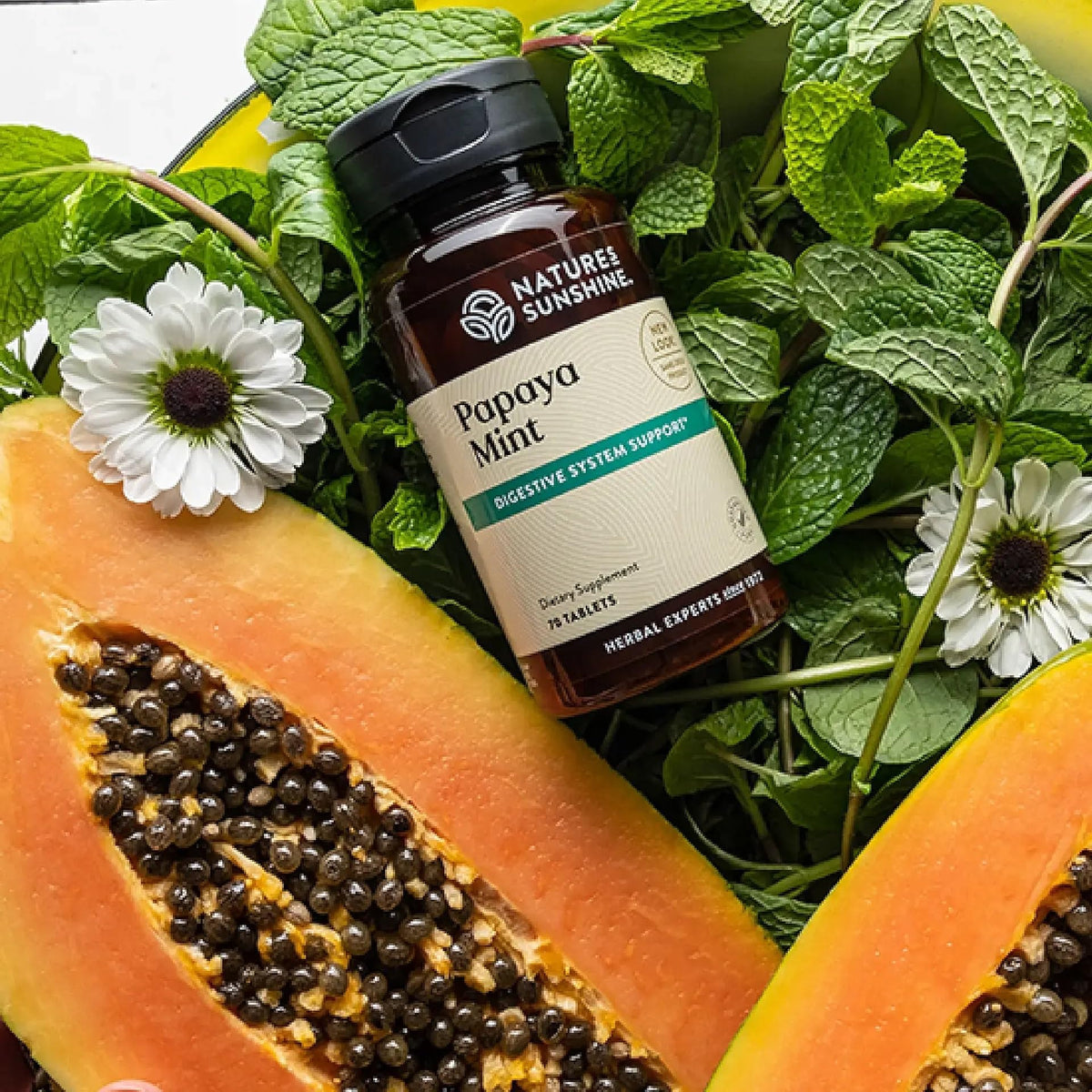 Nature's Sunshine Tablettes à Mâcher Papaye Menthe 70 Ct - emballage