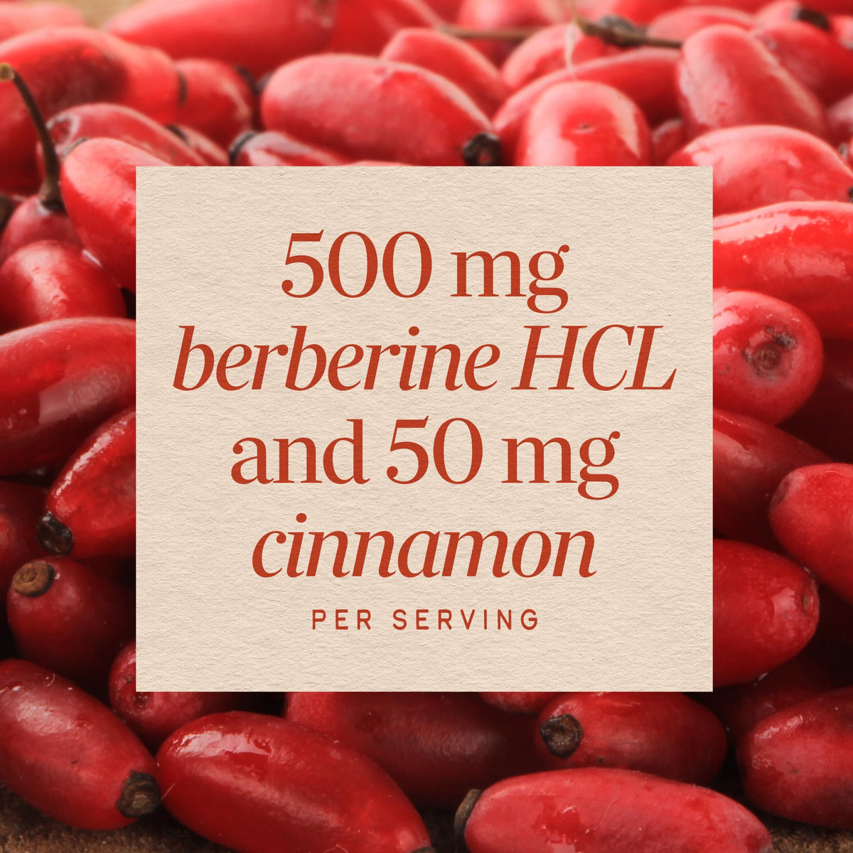 Nature's Way Berberine avec Cannelle 500 mg ouverte avec gélule visible